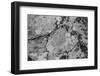 Found Textures XII-Jason Johnson-Framed Photographic Print