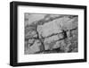 Found Textures XIII-Jason Johnson-Framed Photographic Print