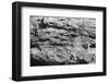 Found Textures XV-Jason Johnson-Framed Photographic Print