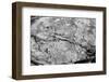 Found Textures XVI-Jason Johnson-Framed Photographic Print