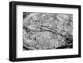 Found Textures XVI-Jason Johnson-Framed Photographic Print