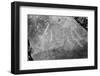 Found Textures XVII-Jason Johnson-Framed Photographic Print