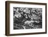 Found Textures XX-Jason Johnson-Framed Photographic Print