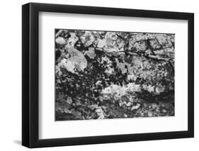 Found Textures XX-Jason Johnson-Framed Photographic Print