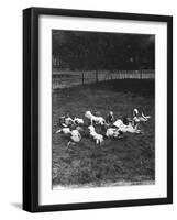 Foundlings at Play-null-Framed Photographic Print
