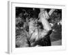 Fountain 5-John Gusky-Framed Photographic Print