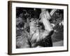 Fountain 5-John Gusky-Framed Photographic Print