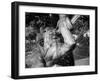 Fountain 5-John Gusky-Framed Photographic Print