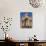 Fountain and Council House, City Centre, Birmingham, England, United Kingdom-David Hughes-Photographic Print displayed on a wall