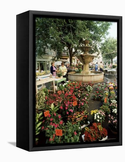 Fountain and Flower Market, Place Aux Aires, Grasse, Alpes-Maritimes, Provence, France-Adina Tovy-Framed Stretched Canvas