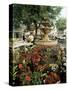 Fountain and Flower Market, Place Aux Aires, Grasse, Alpes-Maritimes, Provence, France-Adina Tovy-Stretched Canvas