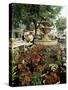 Fountain and Flower Market, Place Aux Aires, Grasse, Alpes-Maritimes, Provence, France-Adina Tovy-Stretched Canvas