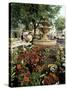 Fountain and Flower Market, Place Aux Aires, Grasse, Alpes-Maritimes, Provence, France-Adina Tovy-Stretched Canvas