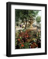 Fountain and Flower Market, Place Aux Aires, Grasse, Alpes-Maritimes, Provence, France-Adina Tovy-Framed Photographic Print