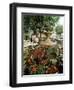 Fountain and Flower Market, Place Aux Aires, Grasse, Alpes-Maritimes, Provence, France-Adina Tovy-Framed Photographic Print