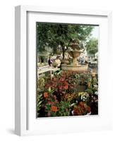 Fountain and Flower Market, Place Aux Aires, Grasse, Alpes-Maritimes, Provence, France-Adina Tovy-Framed Photographic Print