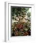 Fountain and Flower Market, Place Aux Aires, Grasse, Alpes-Maritimes, Provence, France-Adina Tovy-Framed Photographic Print