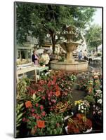 Fountain and Flower Market, Place Aux Aires, Grasse, Alpes-Maritimes, Provence, France-Adina Tovy-Mounted Photographic Print