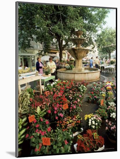 Fountain and Flower Market, Place Aux Aires, Grasse, Alpes-Maritimes, Provence, France-Adina Tovy-Mounted Photographic Print