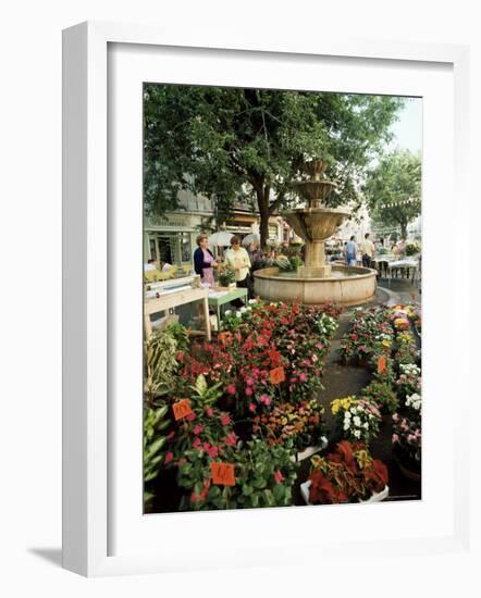 Fountain and Flower Market, Place Aux Aires, Grasse, Alpes-Maritimes, Provence, France-Adina Tovy-Framed Photographic Print