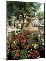 Fountain and Flower Market, Place Aux Aires, Grasse, Alpes-Maritimes, Provence, France-Adina Tovy-Mounted Photographic Print