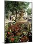 Fountain and Flower Market, Place Aux Aires, Grasse, Alpes-Maritimes, Provence, France-Adina Tovy-Mounted Photographic Print