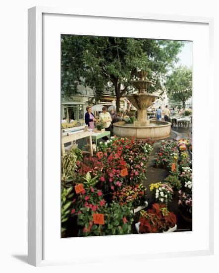 Fountain and Flower Market, Place Aux Aires, Grasse, Alpes-Maritimes, Provence, France-Adina Tovy-Framed Photographic Print