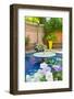 Fountain and Flowers in the Majorelle Gardens (Gardens of Yves Saint-Laurent)-Matthew Williams-Ellis-Framed Photographic Print