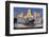 Fountain and Plaza De Cibeles Palace (Palacio De Comunicaciones), Plaza De Cibeles, Madrid-Charles Bowman-Framed Photographic Print