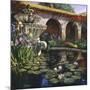 Fountain at San Miguel II-Clif Hadfield-Mounted Art Print