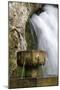 Fountain at the Holy Cave of Covadong, Asturias, Northern Spain-David R. Frazier-Mounted Photographic Print