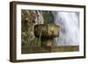 Fountain at the Holy Cave of Covadong, Asturias, Northern Spain-David R. Frazier-Framed Photographic Print