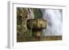 Fountain at the Holy Cave of Covadong, Asturias, Northern Spain-David R. Frazier-Framed Photographic Print