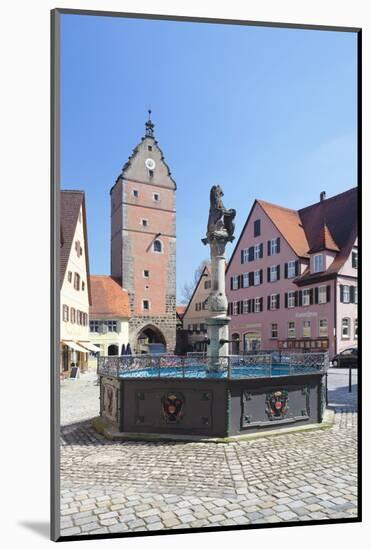 Fountain at the Marketplace with Wornitz Turm Tower-Marcus-Mounted Photographic Print