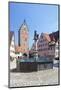 Fountain at the Marketplace with Wornitz Turm Tower-Marcus-Mounted Photographic Print