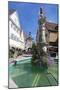 Fountain at Unteres Tor Tower, Old Town, Bietigheim-Bissingen-Markus Lange-Mounted Photographic Print