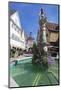 Fountain at Unteres Tor Tower, Old Town, Bietigheim-Bissingen-Markus Lange-Mounted Photographic Print