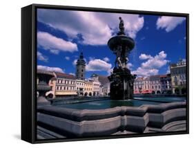 Fountain, Ceske Budejovice, Czech Republic-David Herbig-Framed Stretched Canvas