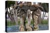 Fountain Detail, Gran Tarajal, Fuerteventura, Canary Islands-Peter Thompson-Stretched Canvas