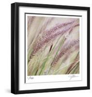 Fountain Grass 7-Ken Bremer-Framed Limited Edition