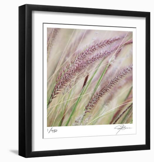 Fountain Grass 7-Ken Bremer-Framed Limited Edition