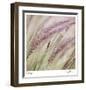 Fountain Grass 7-Ken Bremer-Framed Limited Edition