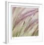 Fountain Grass 7-Ken Bremer-Framed Limited Edition