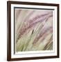 Fountain Grass 7-Ken Bremer-Framed Limited Edition