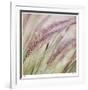 Fountain Grass 7-Ken Bremer-Framed Limited Edition