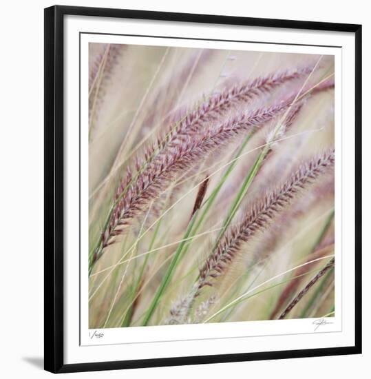 Fountain Grass 7-Ken Bremer-Framed Limited Edition