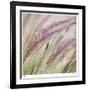 Fountain Grass 7-Ken Bremer-Framed Limited Edition