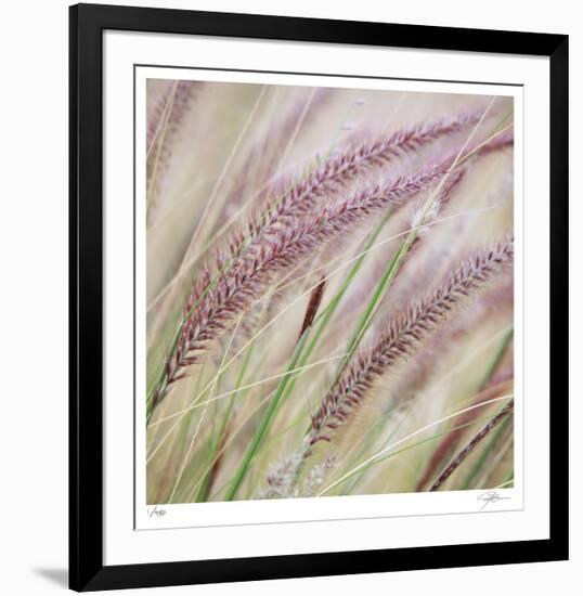 Fountain Grass 7-Ken Bremer-Framed Limited Edition