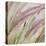 Fountain Grass 7-Ken Bremer-Stretched Canvas