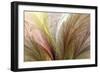 Fountain Grass II-James Burghardt-Framed Art Print